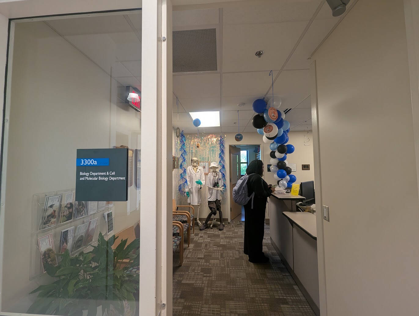 Photo of homecoming decorations
